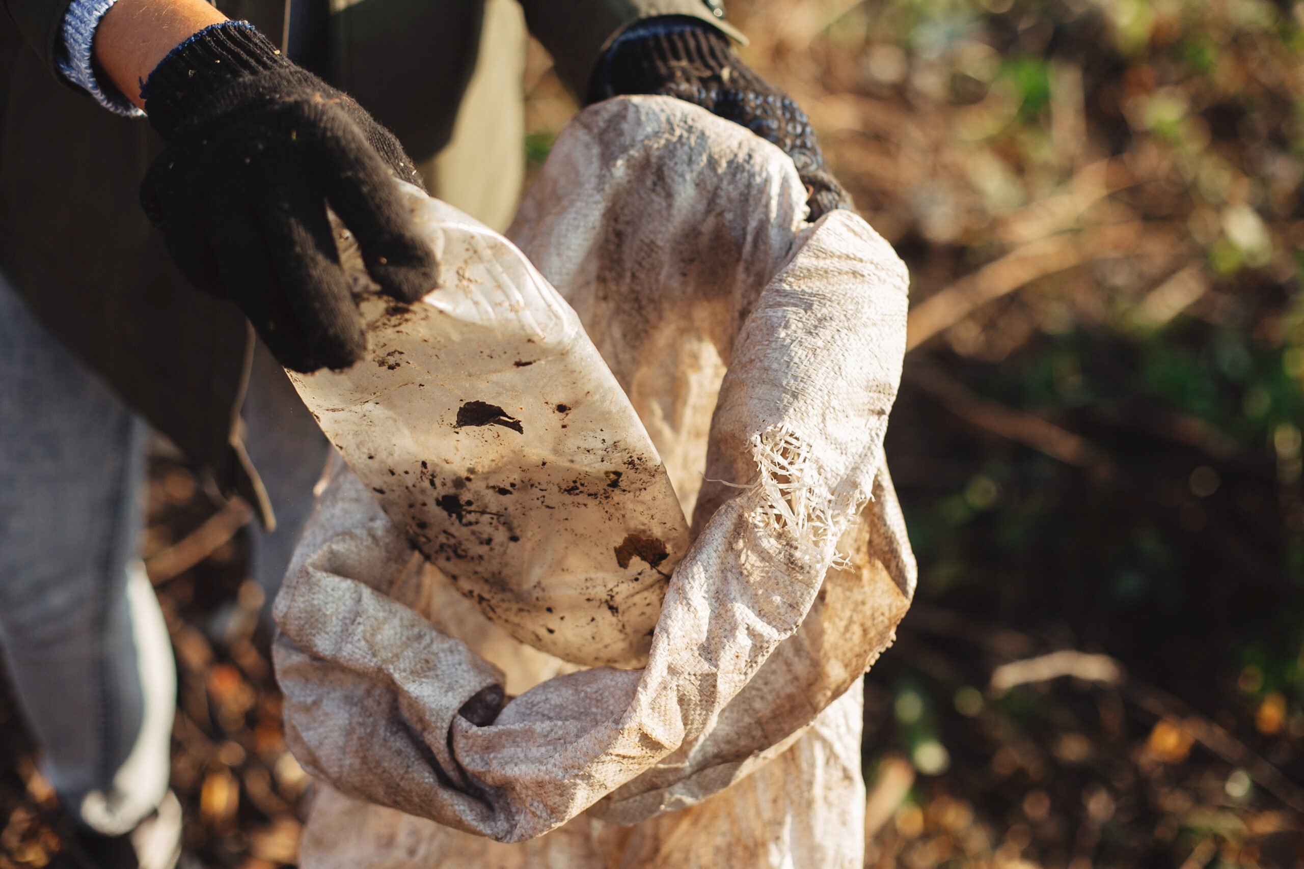 Social Responsibility